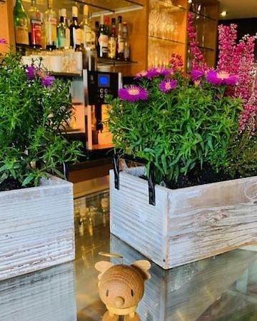 Weinhotel Eltvinum 埃尔特维勒 外观 照片