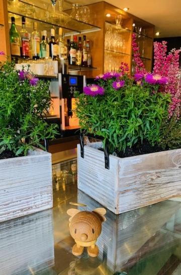 Weinhotel Eltvinum 埃尔特维勒 外观 照片